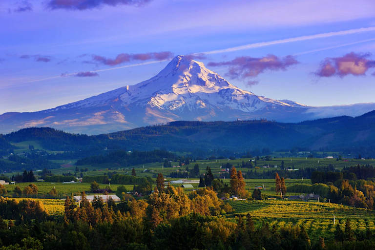 How to Become an Licensed Counselor in Oregon