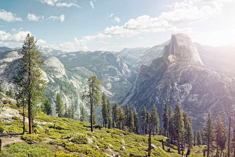 Top Online Psychology Programs in California for 2025