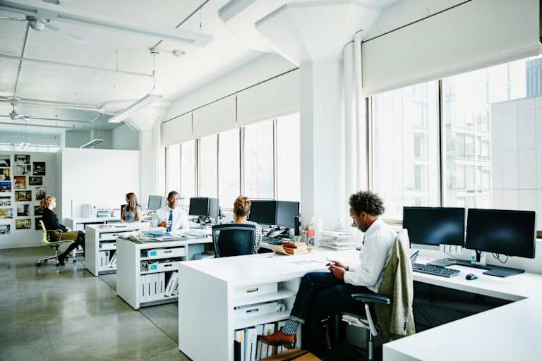 Industrial Organizational Psychology Online Bachelor’s Degree Guide