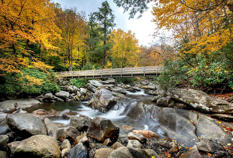 How to Become an Licensed Counselor in Tennessee